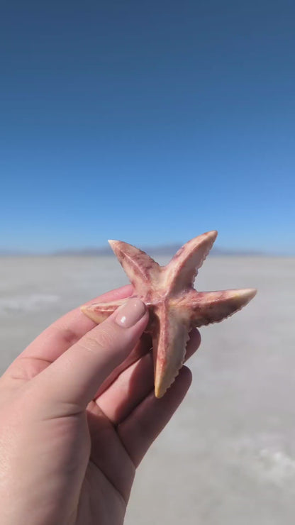 3'' Marble Starfish