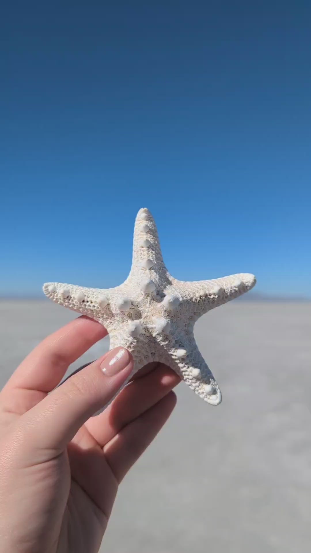 4-5" White Nobby Star