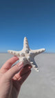 4-5" White Nobby Star