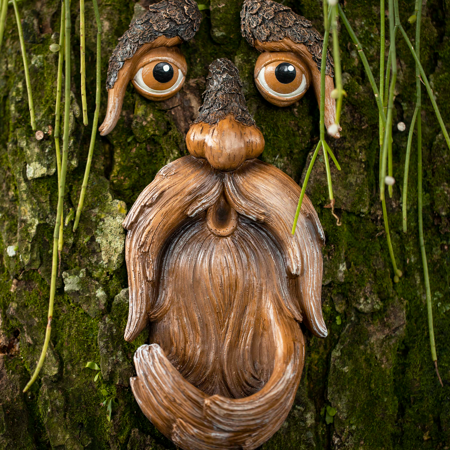 Tree Face