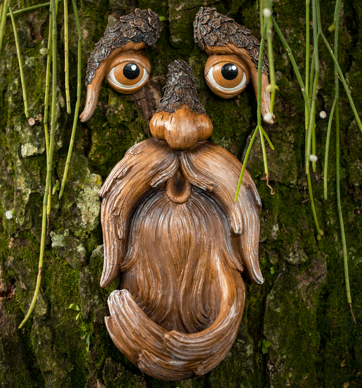 Tree Face