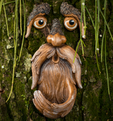Tree Face