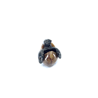 1" Marble Hatching Turtle