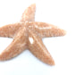 3'' Marble Starfish